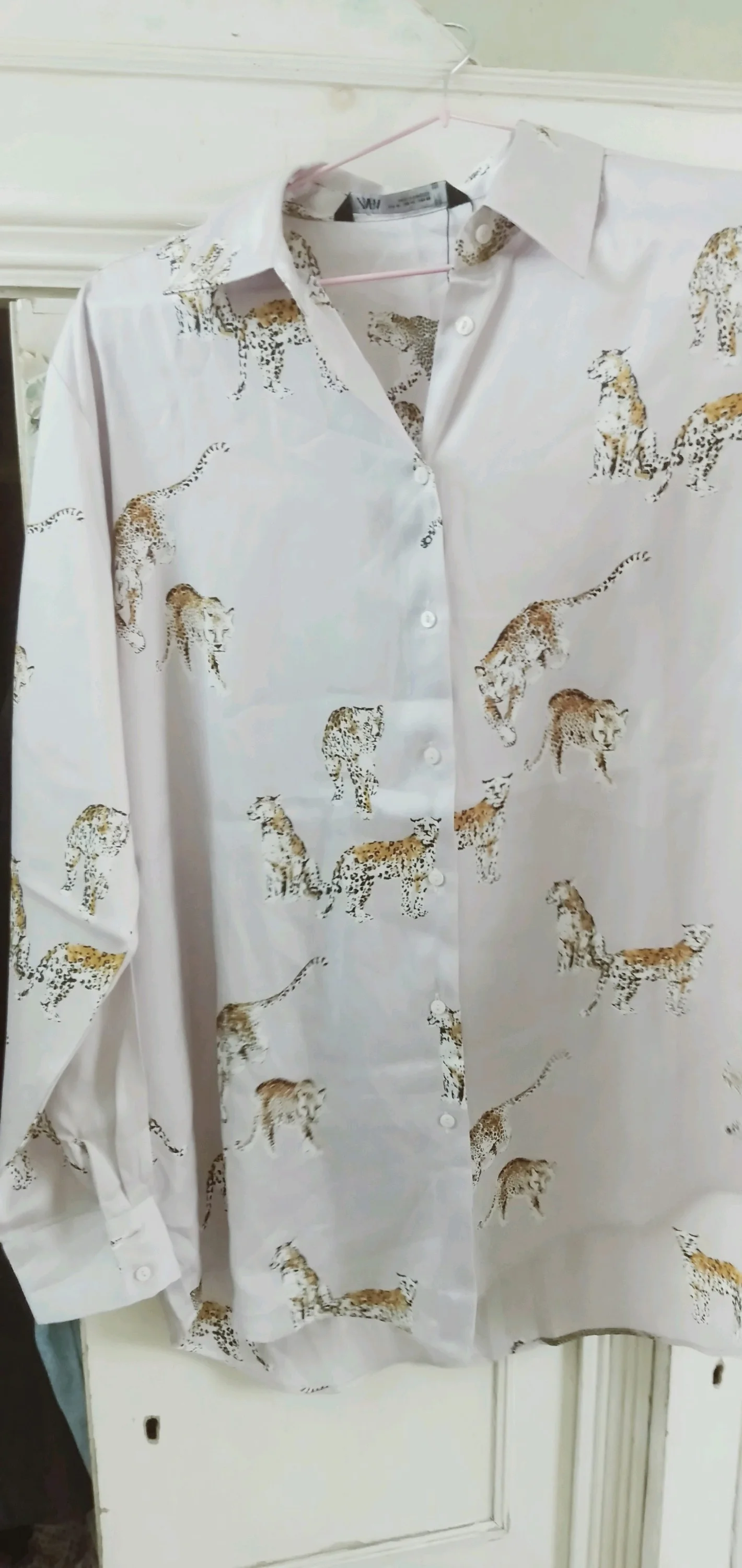 Zara Blouses, size M / 38 / 10, photo 1