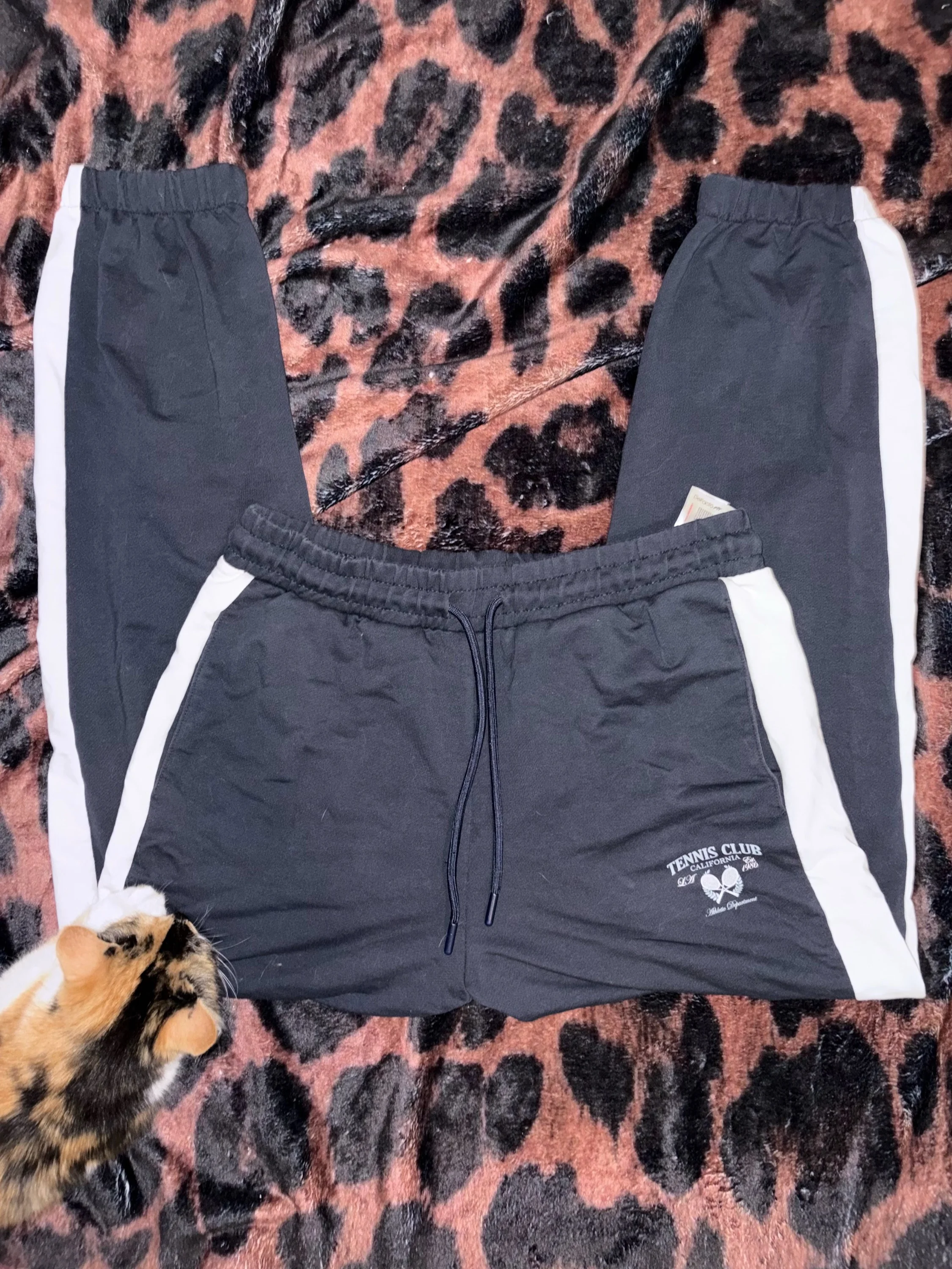 Defacto Sweatpants, size M / 38 / 10, photo 1