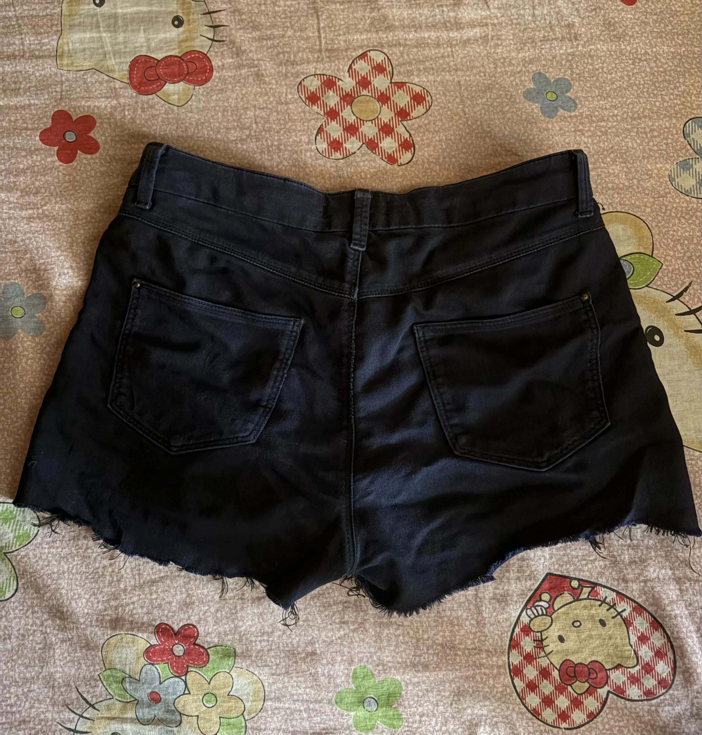 Shorts, size M / 38 / 10, photo 1
