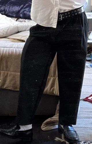 Zara Pants