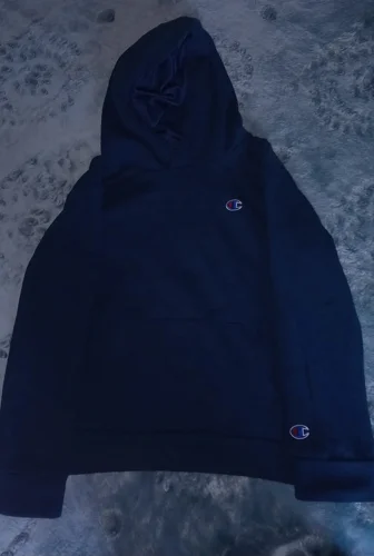 Champion Hoodies