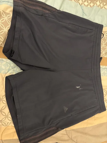 adidas Shorts