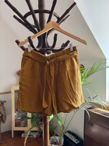 Zara Shorts