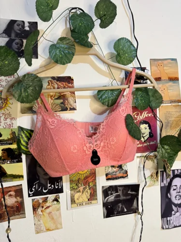 Max Bras