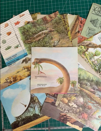 Magazines