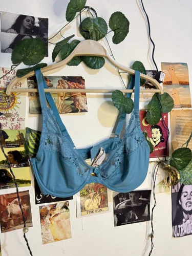 Max Bras