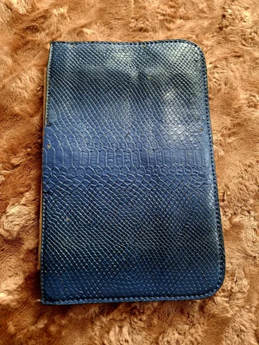 Zara Clutches & Evening Bags