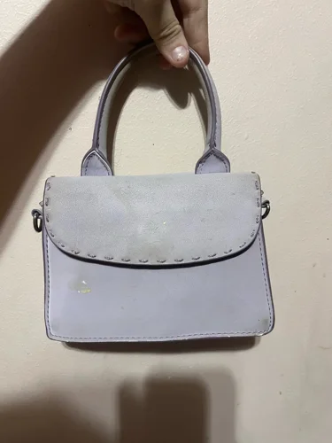 Zara Mini Bags