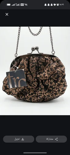 Zara Clutches & Evening Bags