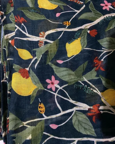 Opio Scarves & Shawls