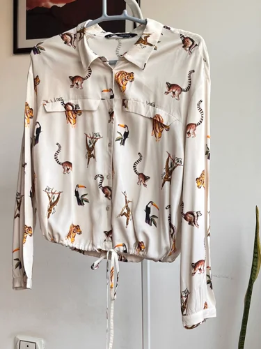 Zara Shirts