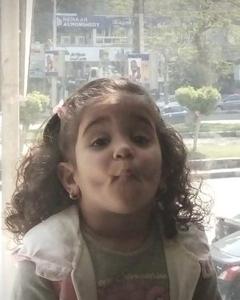 @saraalfegy