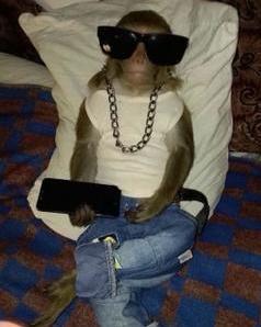 Menna Gamal