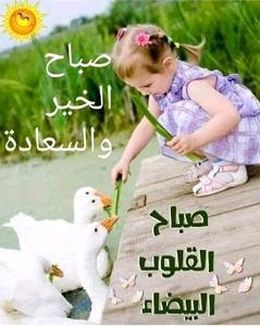 Shereen Ahmed